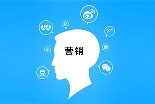 零預(yù)算玩轉(zhuǎn)互聯(lián)網(wǎng)銷(xiāo)售 實(shí)用策略與技巧