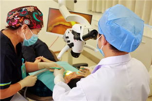 這個(gè)價(jià)值800元的潔牙套餐還在免費(fèi)送